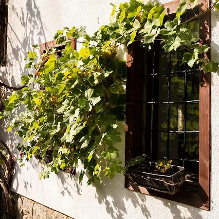 Caravansaray Sarajevo